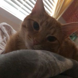 Meet your Posher, Ana